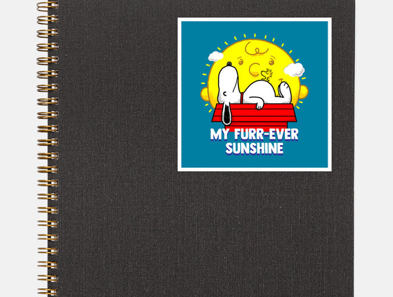Furr Ever Sunshine