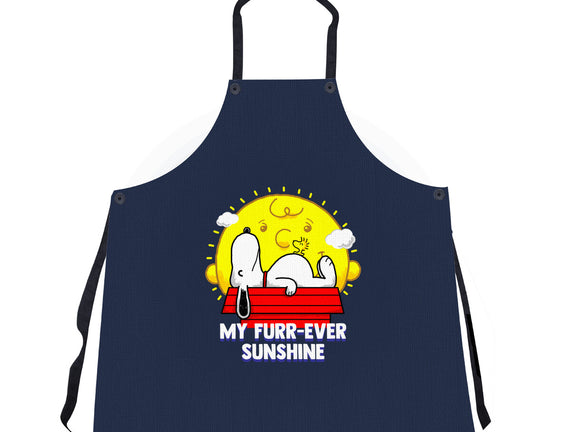 Furr Ever Sunshine