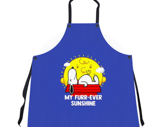 Furr Ever Sunshine