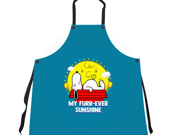 Furr Ever Sunshine