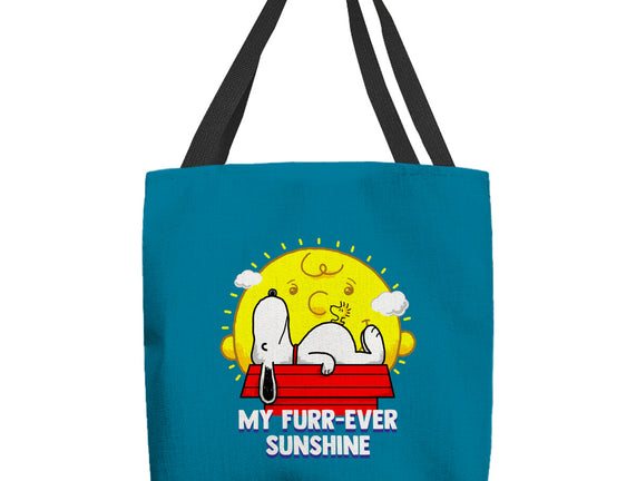 Furr Ever Sunshine