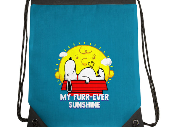 Furr Ever Sunshine