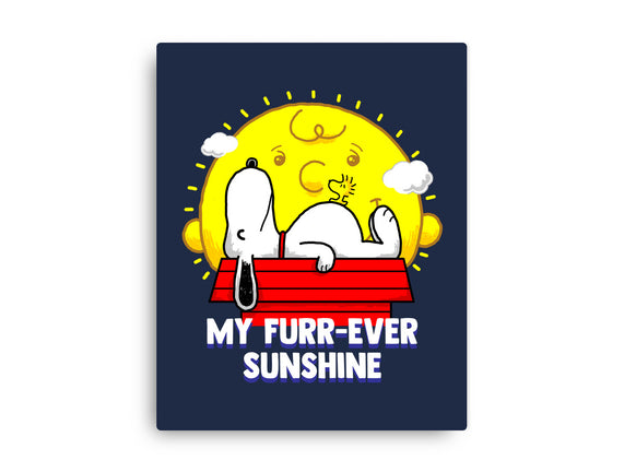 Furr Ever Sunshine