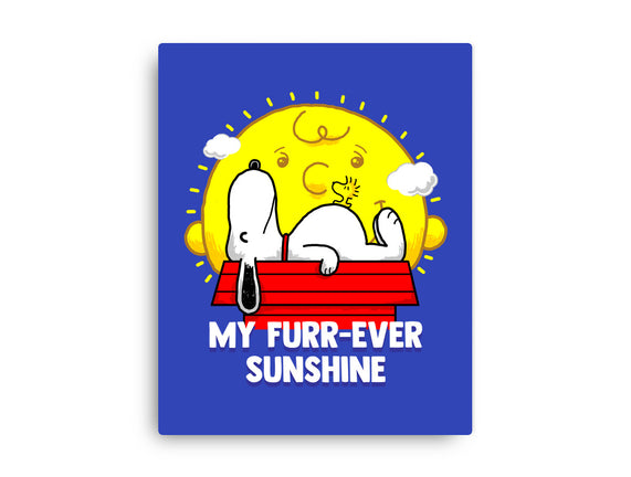 Furr Ever Sunshine