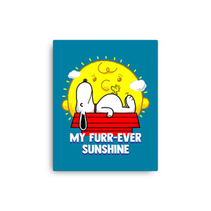 Furr Ever Sunshine