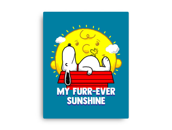 Furr Ever Sunshine