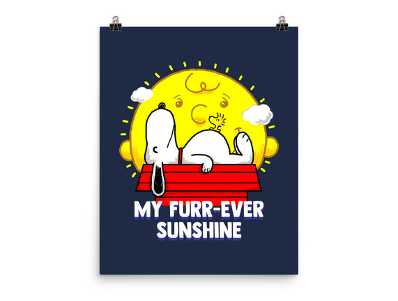 Furr Ever Sunshine