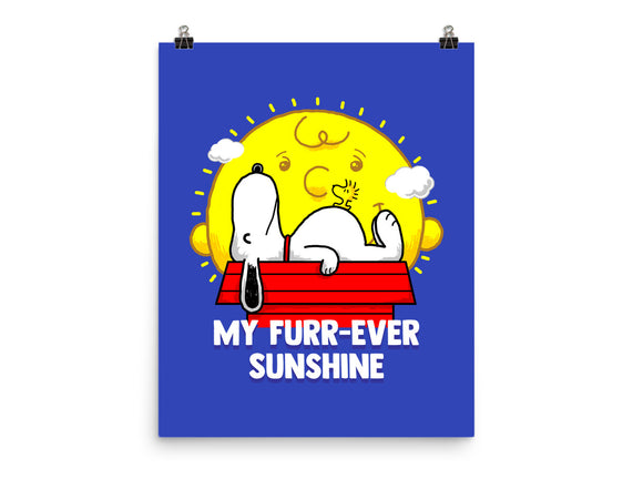 Furr Ever Sunshine