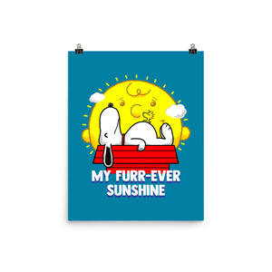 Furr Ever Sunshine