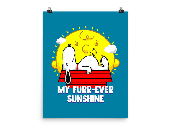 Furr Ever Sunshine