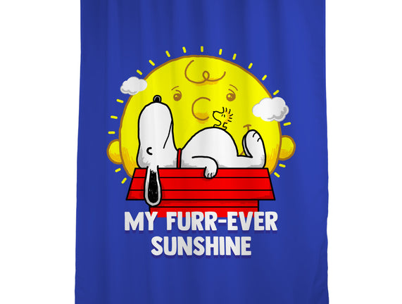 Furr Ever Sunshine