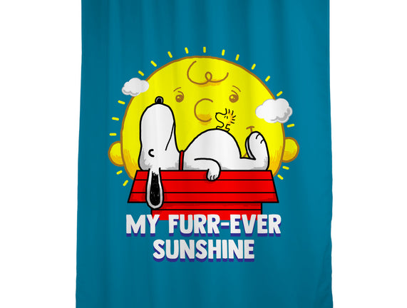 Furr Ever Sunshine
