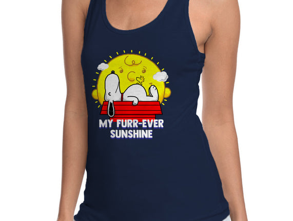 Furr Ever Sunshine