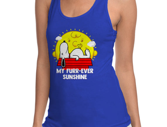 Furr Ever Sunshine