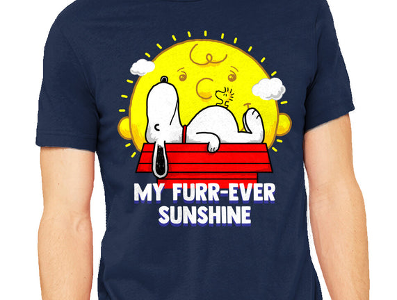 Furr Ever Sunshine