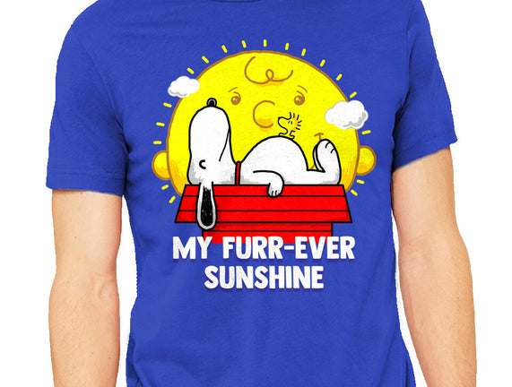 Furr Ever Sunshine
