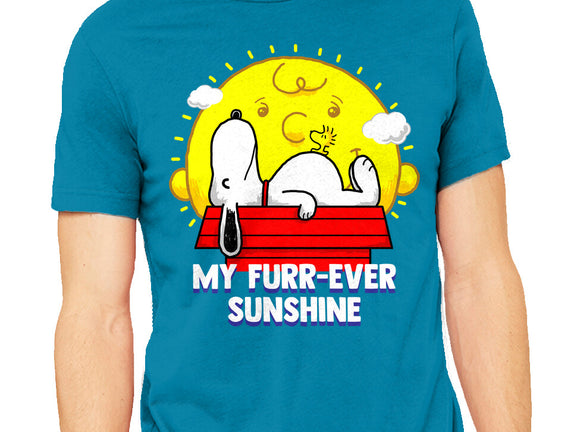 Furr Ever Sunshine