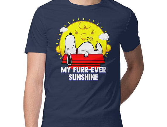Furr Ever Sunshine