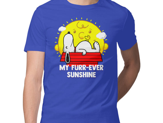 Furr Ever Sunshine
