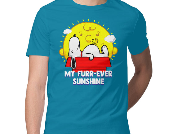 Furr Ever Sunshine