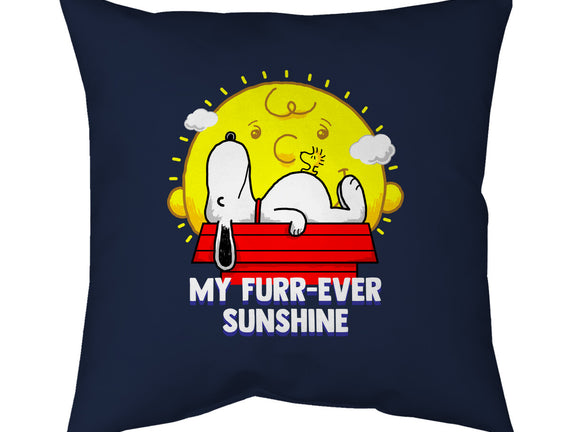 Furr Ever Sunshine