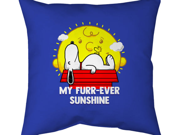 Furr Ever Sunshine