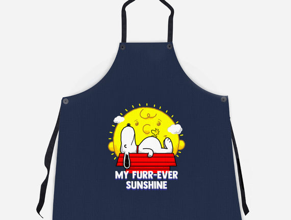 Furr Ever Sunshine