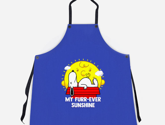 Furr Ever Sunshine