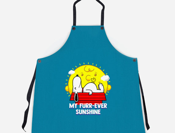 Furr Ever Sunshine