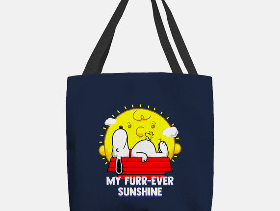 Furr Ever Sunshine
