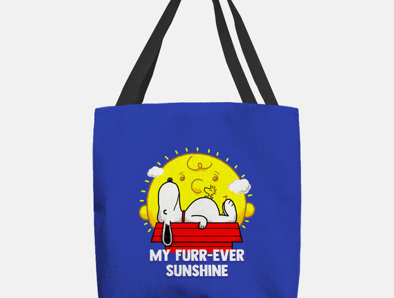 Furr Ever Sunshine