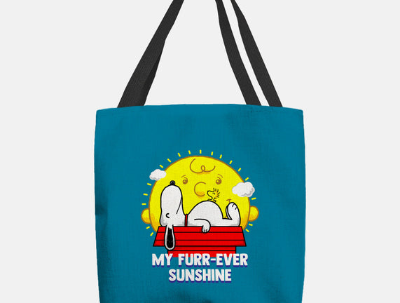 Furr Ever Sunshine
