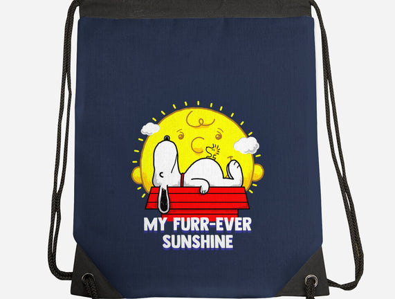 Furr Ever Sunshine