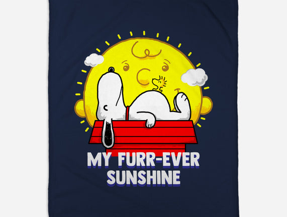 Furr Ever Sunshine