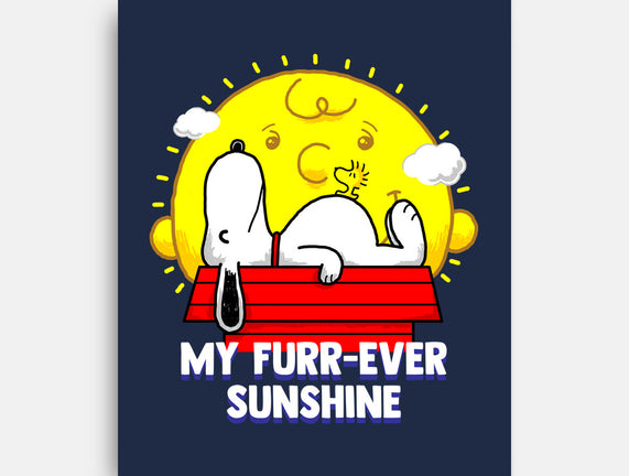 Furr Ever Sunshine