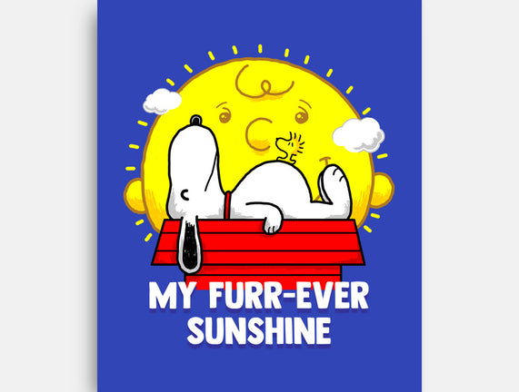 Furr Ever Sunshine
