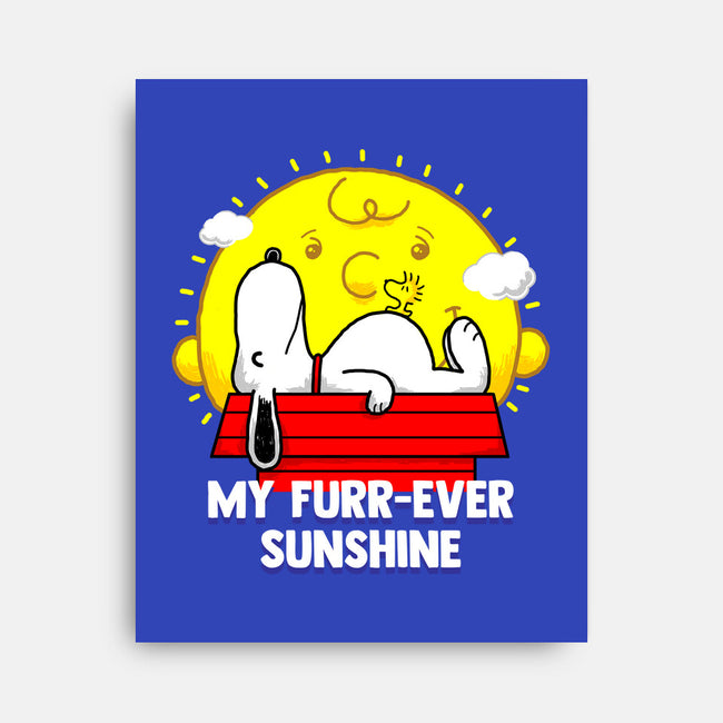 Furr Ever Sunshine-None-Stretched-Canvas-krisren28