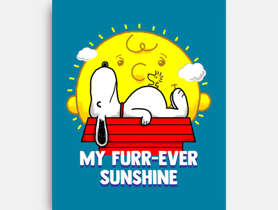 Furr Ever Sunshine