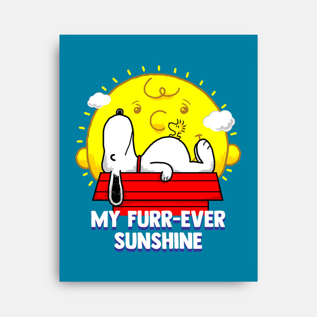 Furr Ever Sunshine-None-Stretched-Canvas-krisren28