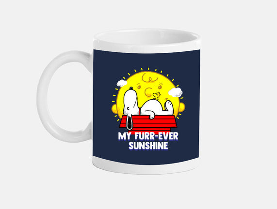 Furr Ever Sunshine