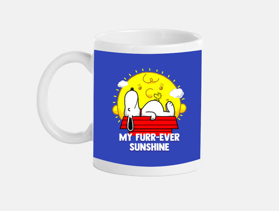 Furr Ever Sunshine