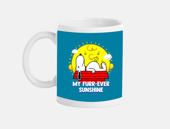 Furr Ever Sunshine