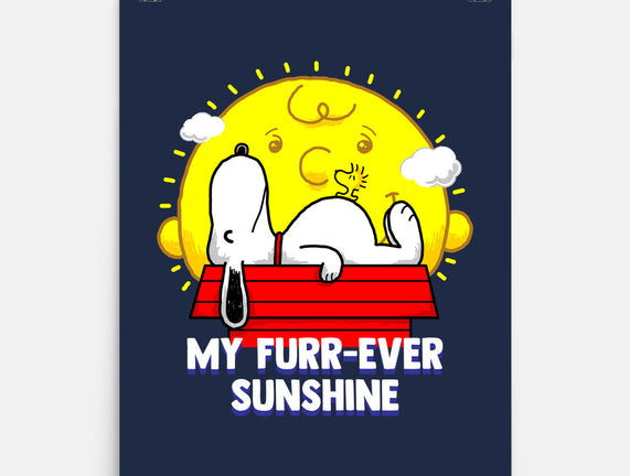 Furr Ever Sunshine