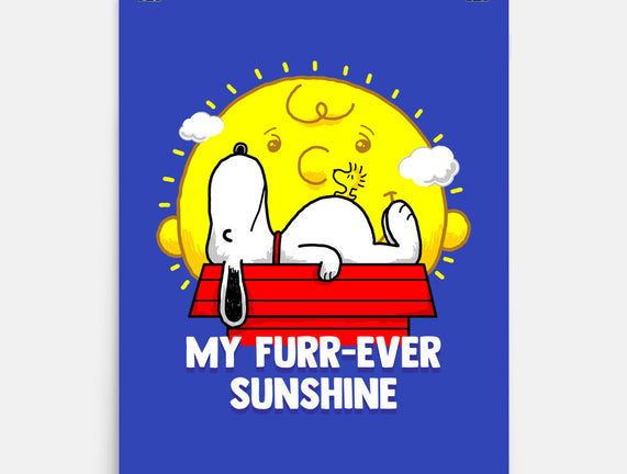 Furr Ever Sunshine