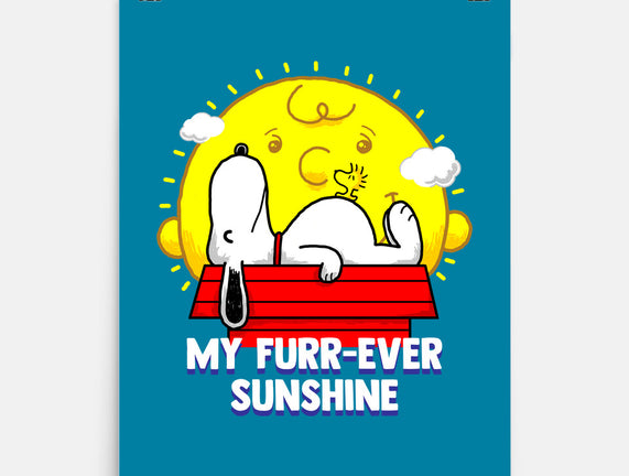 Furr Ever Sunshine