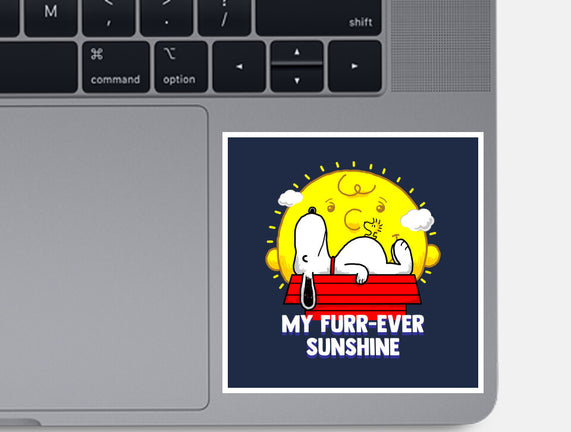 Furr Ever Sunshine
