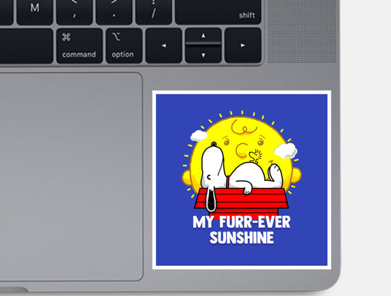 Furr Ever Sunshine
