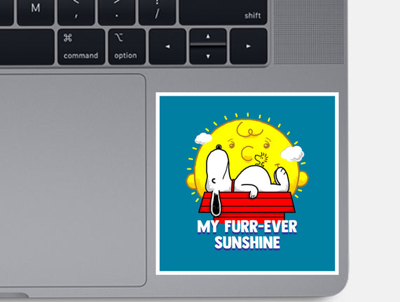 Furr Ever Sunshine