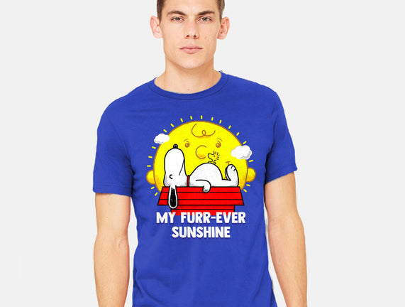 Furr Ever Sunshine