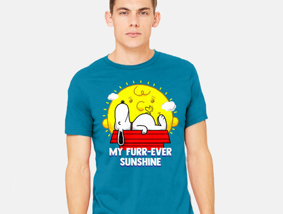 Furr Ever Sunshine